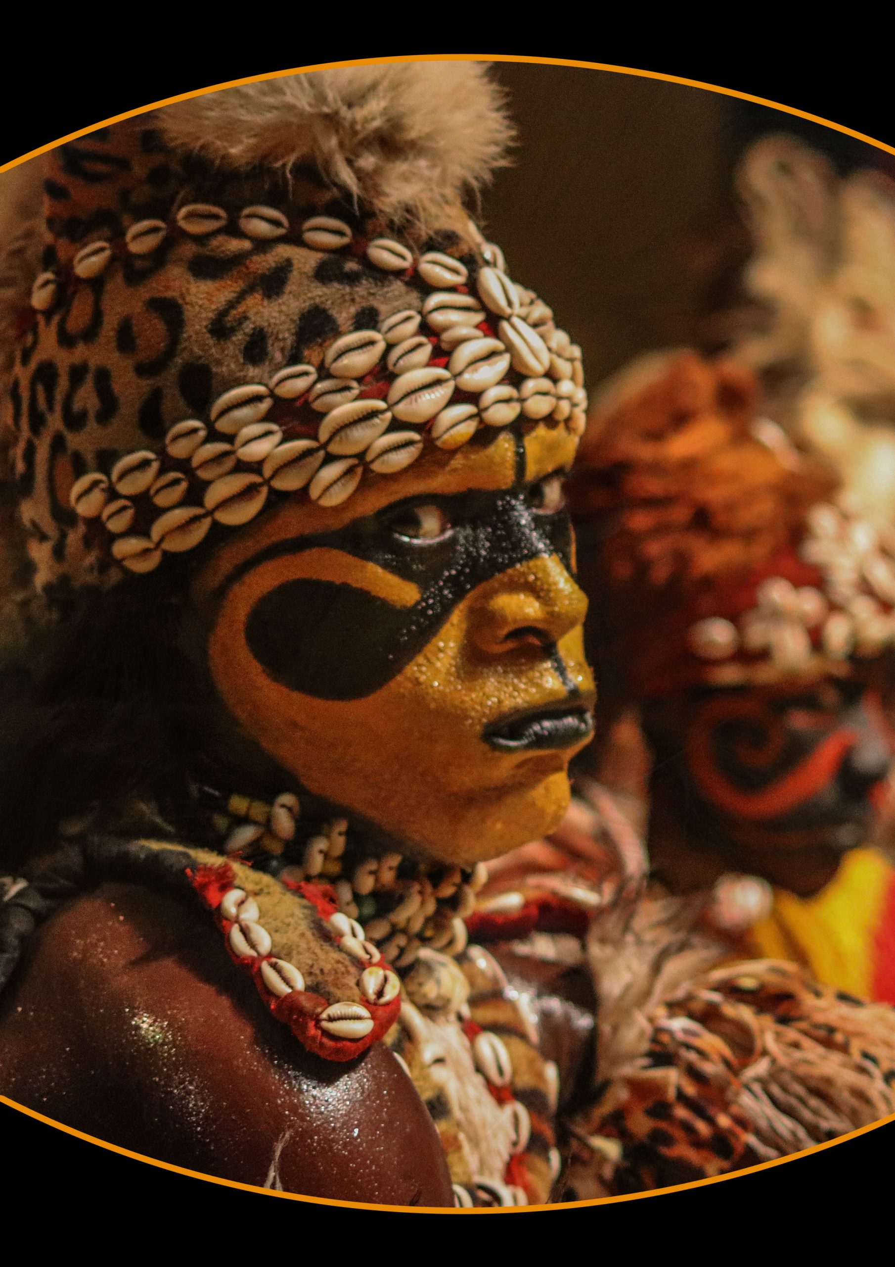 Lions Of Africa Book