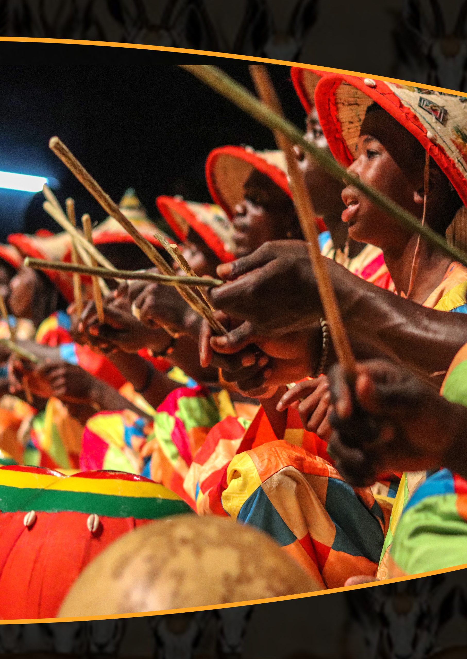 Lions Of Africa Book