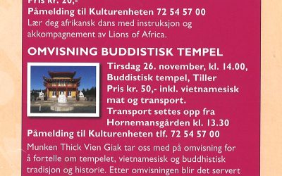 Lions of Africa Den kulturelle spaserstokken